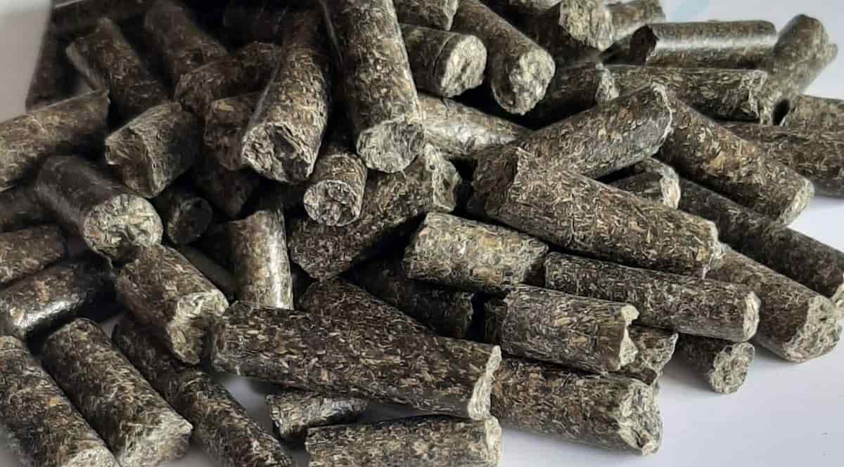  Import, production, supply and distribution Cottonseed meal in Iran